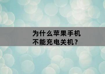 为什么苹果手机不能充电关机?-图片2